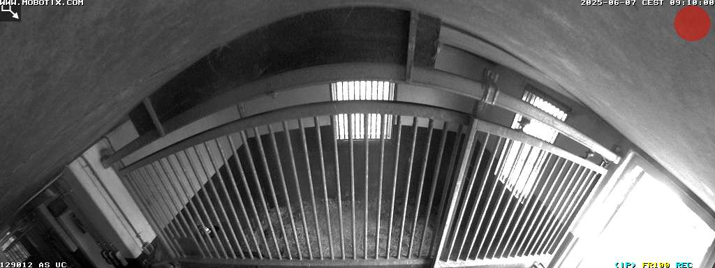 Camera localcam:Last Event Image