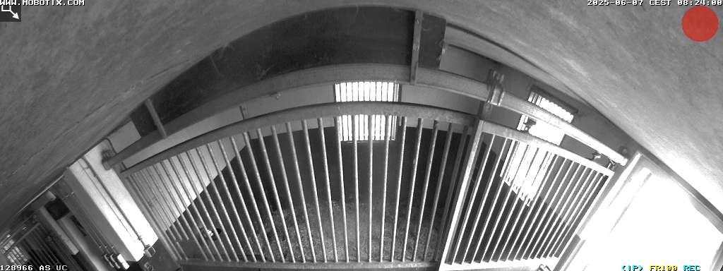 Camera localcam:Event Image #-1