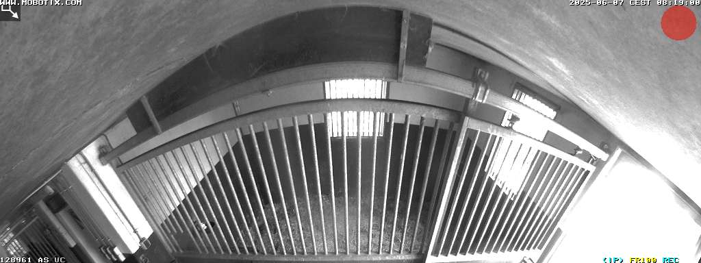 Camera localcam:Event Image #-2