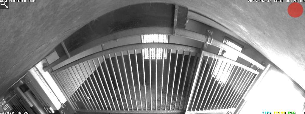 Camera localcam:Event Image #-3